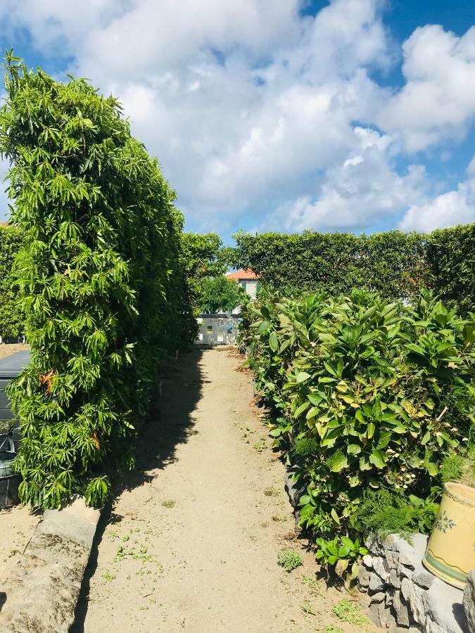 הוילה ריביירה גראנדה Casas Da Quinta מראה חיצוני תמונה